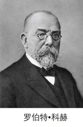 伟⼤的细菌学家—罗伯特•科赫