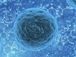 基因组学是什么？