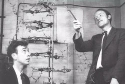 20世纪分子生物学的带头人詹姆斯·杜威·沃森(James Watson)