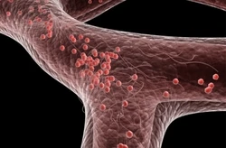 不用去医院，就能给自己做一次全面体检！