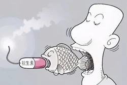 又一批水产品被检出孔雀石绿呋喃西林恩诺沙星
