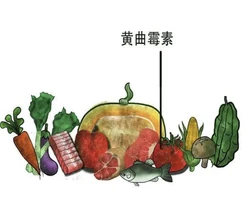 家里黄曲霉如何检测?