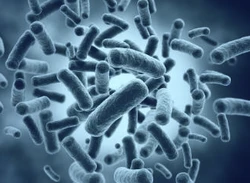 基因组学主要研究内容与应用领域