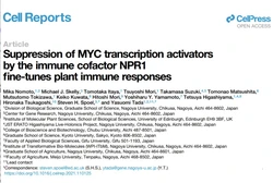 研究揭示植物免疫系统如何微调其自身对病原体的抗性！