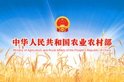 2021年第一季度农产品抽检