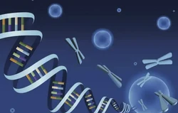 生物信息学是干什么的，毕业能从事什么工作