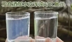 白酒加水变浑浊，就是纯粮食酒吗？