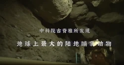 中科院首次发现24吨“史前巨兽”！
